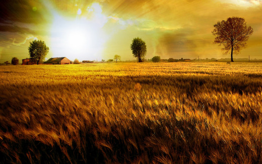 477148 (a): :1920x1200